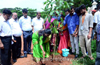 MCC to plant 1500 saplings this year : Mayor Kavitha Sanil